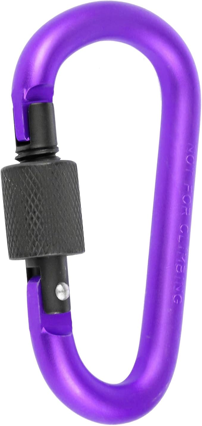 10 Pack Aluminum D Ring Key Rings Hiking Clips Locking Carabiner for Hiking Camping Fishing and Outdoor Use,Clips with Screw Gate Multicolored