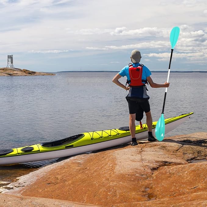 Kayak Paddle - Adjustable 2 Pieces Aluminum Alloy Shaft with Glass Fiber Blade for Surfing,Oar Fishing Easy Packable Travel