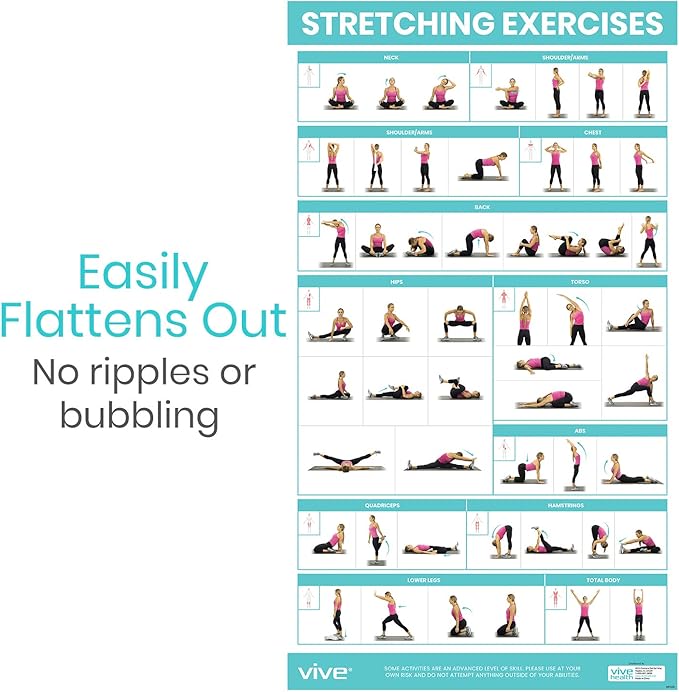 Vive Workout Posters for Home Gym - 52 Streching Exercises Full Body Workout - Laminated Pre Post Routines Wall Chart - Bodyweight Poses Instruction Guide for Core, Abs, Legs, Glutes, Upper Body