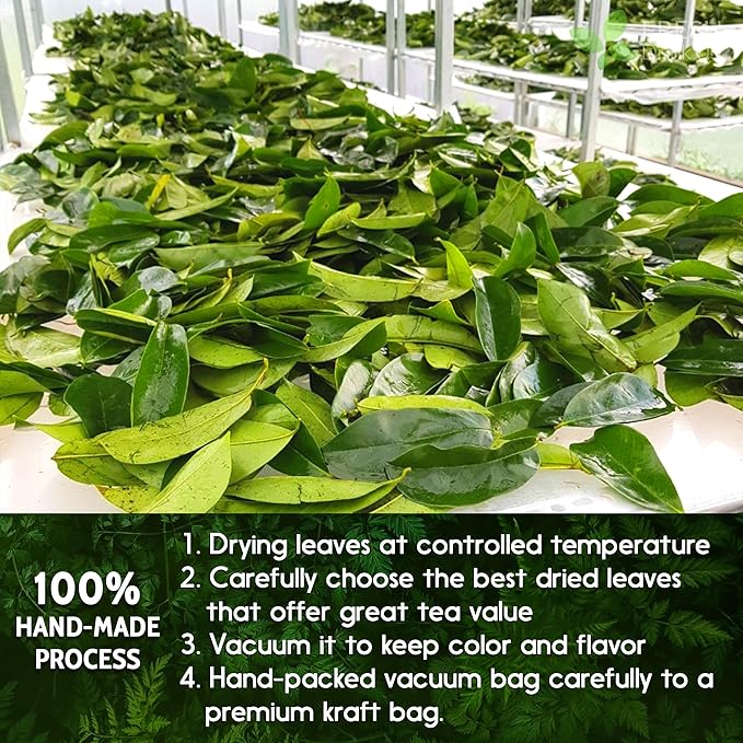FreshDrinkUS, 240+ Premium Soursop Graviola Dried Leaves Tea, 230-250 Whole Soursop Leaves, Wildcrafted, Graviola , Guanabana , Hoja Guanabana, Loose Leaf Herbal , No Gluten, Vegan