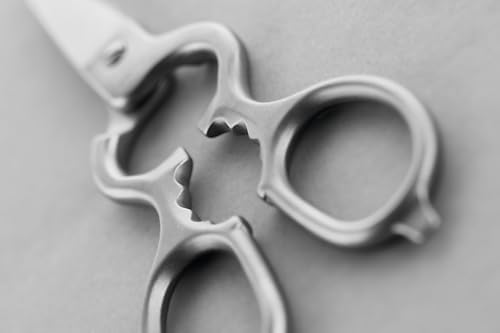 WÜSTHOF Brushed Stainless Kitchen Shears - Image 4