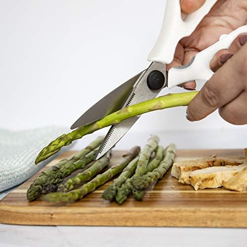Rae Dunn Kitchen Scissors- Stainless Steel Kitchen Shears, Cooking Scissors - Image 3