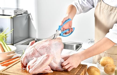 Heavy Duty Poultry Shears - Image 2