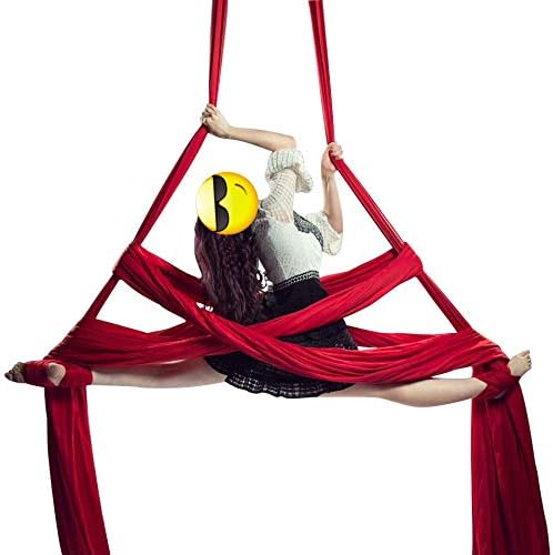DASKING Aerial Silks Starter Kit - Durable 11Yards of Aerial Yoga Hammock with Hardware, Aerial Swing for Acrobatic Flying Yoga & All Levels (Aerial Rigging Point Up to 14ft)