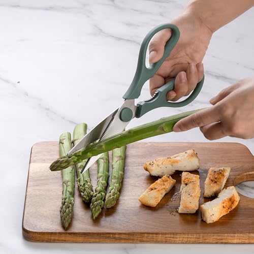 Rae Dunn Kitchen Scissors- Stainless Steel Kitchen Shears, Cooking Scissors - Image 5