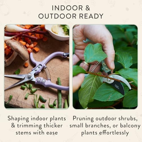 Modern Sprout Hand Pruners+Shears Set w/Blister - Image 5