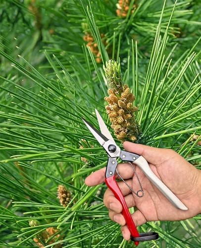 Double-Edge Garden Shears Micro-Tip Pruning Shears Extra Heavy Straight Garden - Image 2