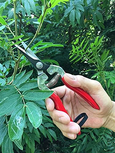 gonicc Micro-Tip Pruning Snips, Stainless Steel Garden Shears - Image 5