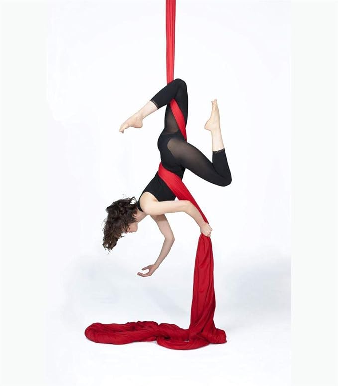 DASKING Aerial Silks Starter Kit - Durable 11Yards of Aerial Yoga Hammock with Hardware, Aerial Swing for Acrobatic Flying Yoga & All Levels (Aerial Rigging Point Up to 14ft)