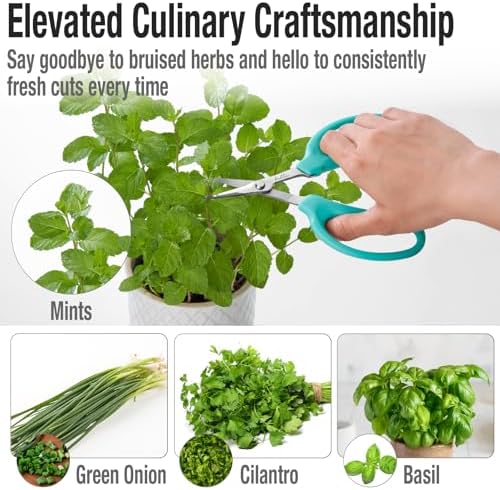 Beaditive Culinary Herb Scissors - Image 2