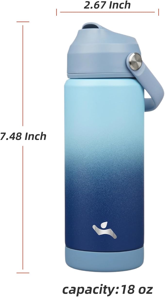 Insulated Water Bottle with Straw Lid,18 oz Stainless Steel Vacuum Metal Bottle with Silicone Handle,Sky