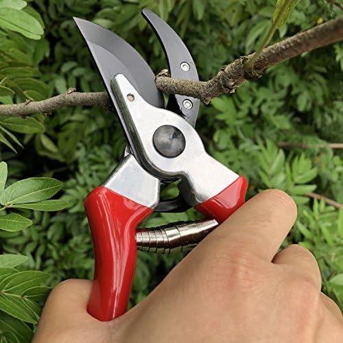 gonicc 8" Professional Sharp Bypass Pruning Shears - Image 5
