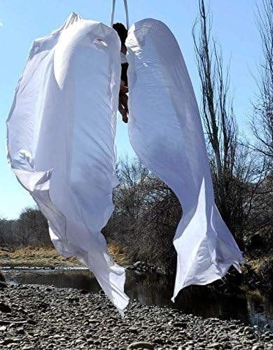 DASKING Aerial Silks Starter Kit - Durable 11Yards of Aerial Yoga Hammock with Hardware, Aerial Swing for Acrobatic Flying Yoga & All Levels (Aerial Rigging Point Up to 14ft)