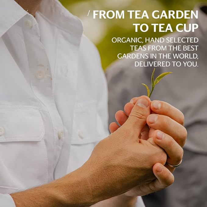 Grace Farms REST Wellness Organic Tea Blend (100 Enveloped Pyramid Sachets w/ String & Tag) | Sleep and Stress Support For Evening | Chamomile Vanilla Tea with Caffeine Free Adaptogens and Mushrooms | Gives Back 100% of Profits