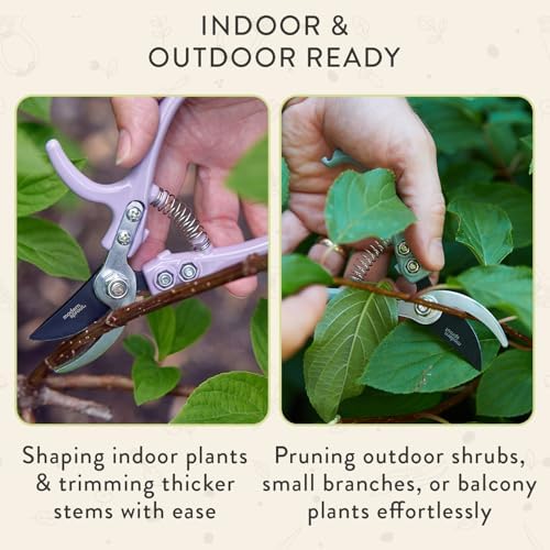 Modern Sprout Bypass Hand Pruners - Image 5