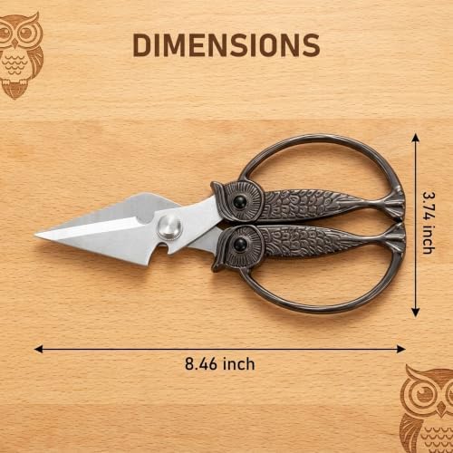 XSNBRD Kitchen Shears Sharp - Image 2