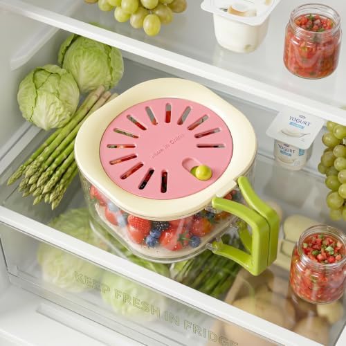 Fridge Produce Storage Container - Image 4