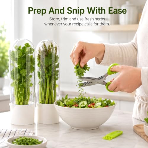 2 Pack Herb Saver for Refrigerator - Image 6