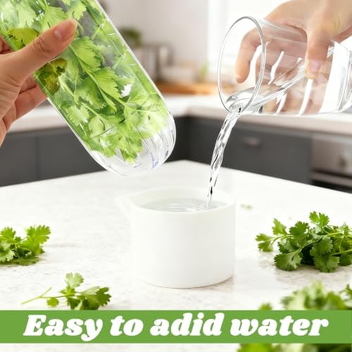 2 Pack Herb Saver for Refrigerator - Image 5