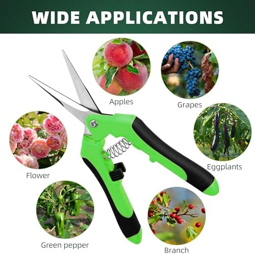 EWPJDK 3 Pack Garden Pruning Shears Scissors Clippers - Image 6