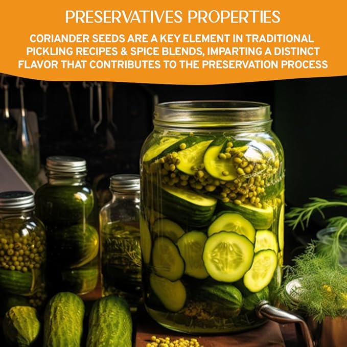 HANDPICK Whole Coriander Seed (283g/10oz) Premium Grade | Pure & Flavorful Coriander Seeds - Indian Origin | Non GMO, Gluten Free | Perfect for Cooking & Seasoning | Resealable Ziplock Pouch