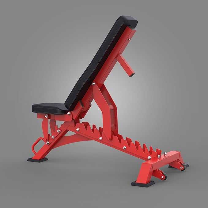 Major Fitness Weight Bench, Capacity Bench Press and 32 Adjustable Positions Strength Training Bench for Garage and Home Gym Workouts, Weight Lifting, and Bench Press