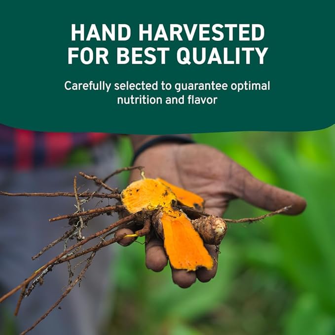 HANDPICK Lakadong High Curcumin Turmeric Powder (226g/ 8oz) Non GMO, Gluten Free, 100% Raw, Sourced from India, High Curcumin, Premium Quality, Packed in Resealable Ziplock Pouch