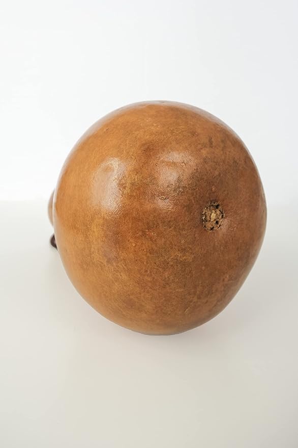 Ipu: professional concert performance level Hawaiian gourd - small size - handmade natural materials - 20 to 22.75inches