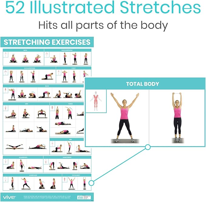 Vive Workout Posters for Home Gym - 52 Streching Exercises Full Body Workout - Laminated Pre Post Routines Wall Chart - Bodyweight Poses Instruction Guide for Core, Abs, Legs, Glutes, Upper Body