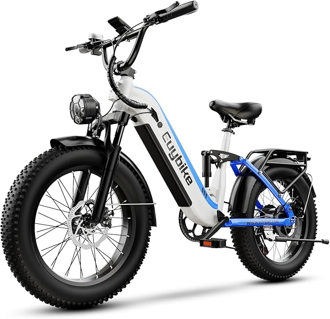1500W Electric Bike for Adults,48V 20/60Ah Removable Battery Max Range 80Miles & 30MPH Electric Bicycle,20''×4" Fat Tire Ebike,Adult Electric Bicycles for Commute Beach Snow,E-Bike UL Certified