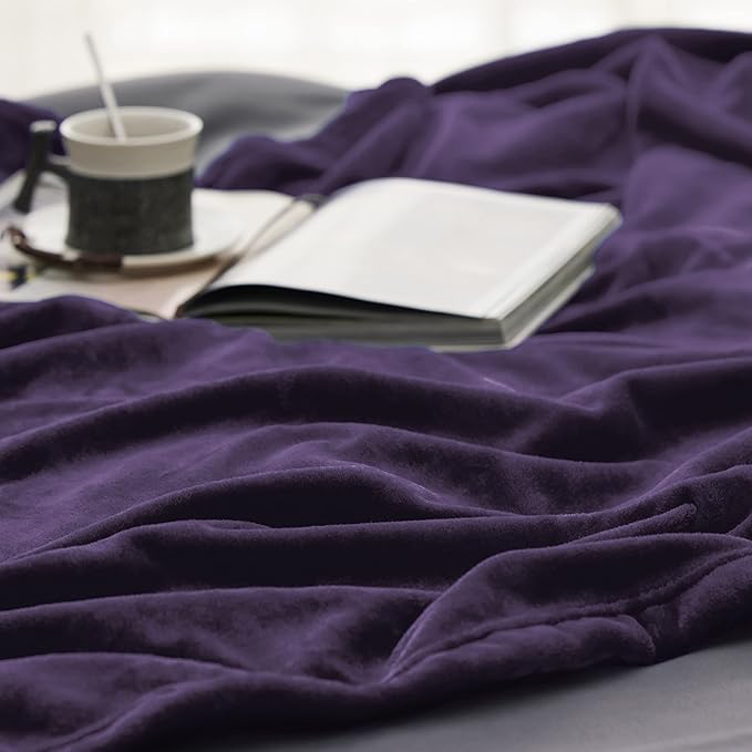 Bedsure Fleece Blankets Queen Size Purple - Bed Blanket Soft Lightweight Plush Fuzzy Cozy Luxury Microfiber, 90x90 inches