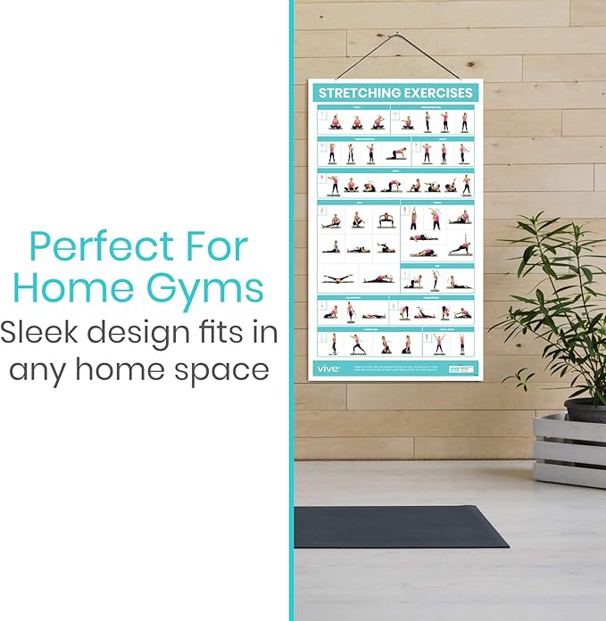 Vive Workout Posters for Home Gym - 52 Streching Exercises Full Body Workout - Laminated Pre Post Routines Wall Chart - Bodyweight Poses Instruction Guide for Core, Abs, Legs, Glutes, Upper Body