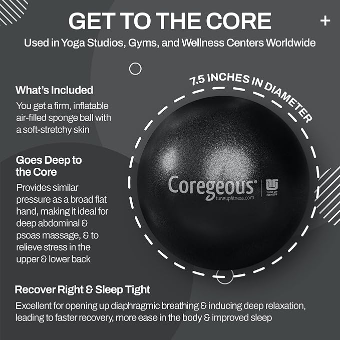 Tune Up Fitness – Coregeous Ball | Psoas Release Tool, Abdominal, Belly & Lower Back Release | Core Ball, Exercise Ball for Low Back, Stress & Digestive Relief, Improved Breathing & Sleep (Graphite)
