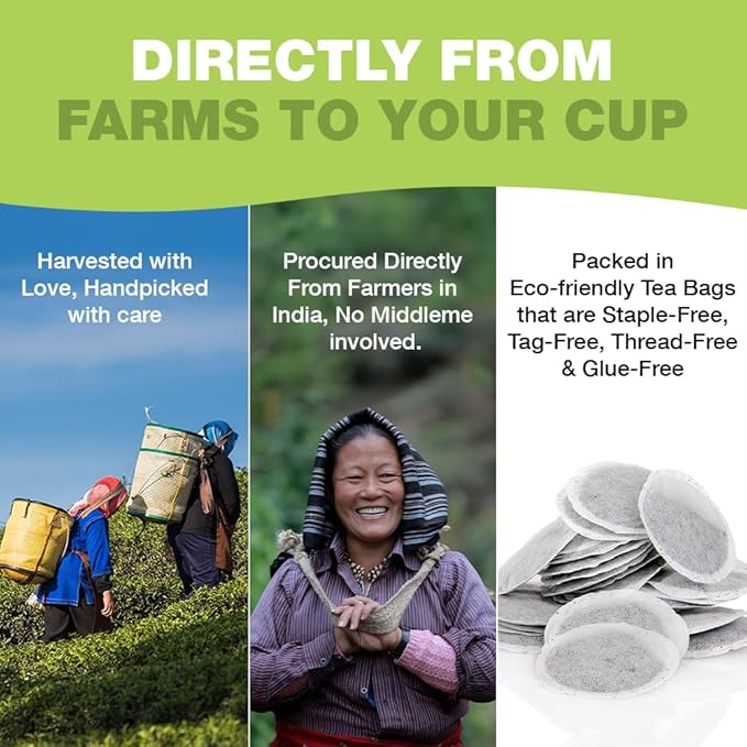 HANDPICK, Green Tea Bags - 100 Eco-Friendly Tea Bags | Resealable Pack for Freshness | Delicate & Flavory | Direct From India