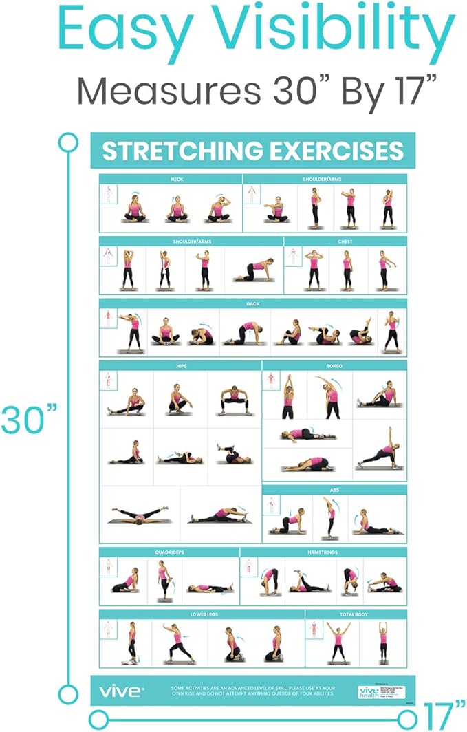 Vive Workout Posters for Home Gym - 52 Streching Exercises Full Body Workout - Laminated Pre Post Routines Wall Chart - Bodyweight Poses Instruction Guide for Core, Abs, Legs, Glutes, Upper Body