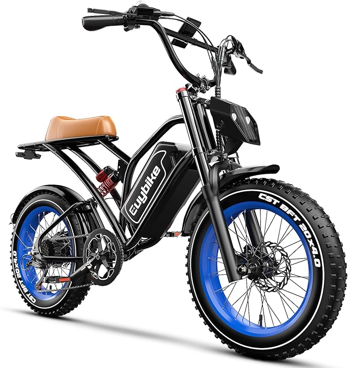 1500W Electric Bike for Adults,48V 20/60Ah Removable Battery Max Range 80Miles & 30MPH Electric Bicycle,20''×4" Fat Tire Ebike,Adult Electric Bicycles for Commute Beach Snow,E-Bike UL Certified