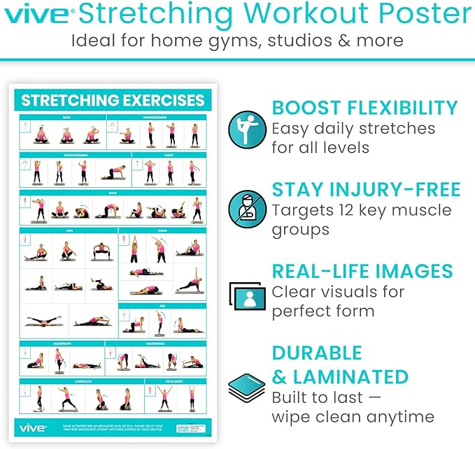 Vive Workout Posters for Home Gym - 52 Streching Exercises Full Body Workout - Laminated Pre Post Routines Wall Chart - Bodyweight Poses Instruction Guide for Core, Abs, Legs, Glutes, Upper Body