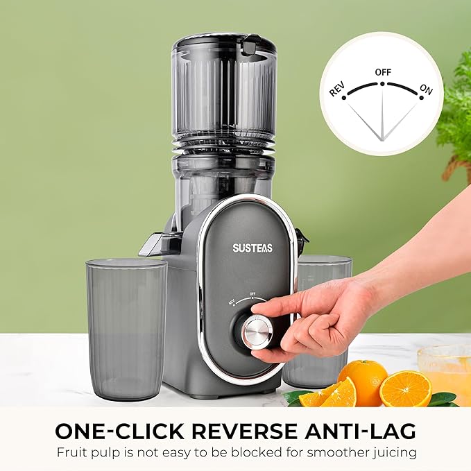 SUSTEAS Cold Press Juicer, 5.3" Feed Chute(50oz Capacity), 300 Watt Slow Masticating Juice Extractor for Whole Fruits and Vegetables, Automatic Feed, Easy to Clean, High Juice Yield,Silver gray