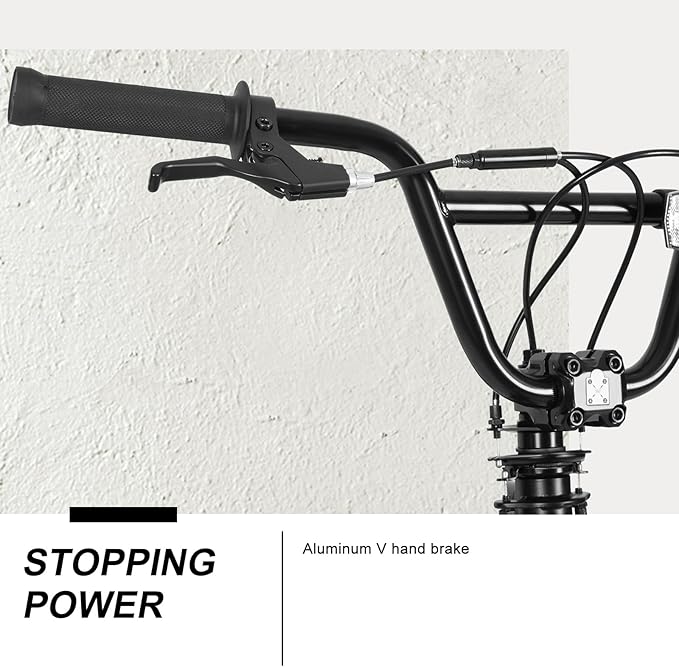 WEIZE Freestyle BMX Bike, 20 inch Trick Bicycle for Kids and Adults Men Women, Hi-Ten Steel Frame, 360 Degree Rotor Freestyle, 4 Pegs Single Speed Teen Bike, Beginner-Level to Advanced Riders