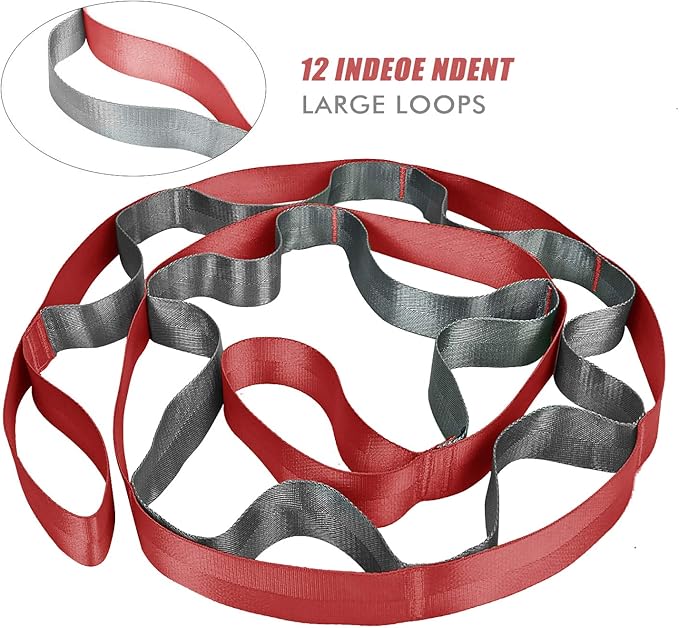 SANKUU Yoga Straps Stretching Strap with 12 Loops Workout Poster, Straps for Stretching Physical Therapy Equipment Long Stretch Out Bands for Exercise, Pilates and Gymnastics for Women Men