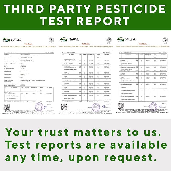 Grenera Organic Moringa Powder - 2.2 lbs (35.2 oz) | Moringa Oleifera Leaf Powder Lab Tested for Purity | Moringa Powder Organic Perfect for Smoothies, Drinks, Tea & Recipes | 100% Raw from India