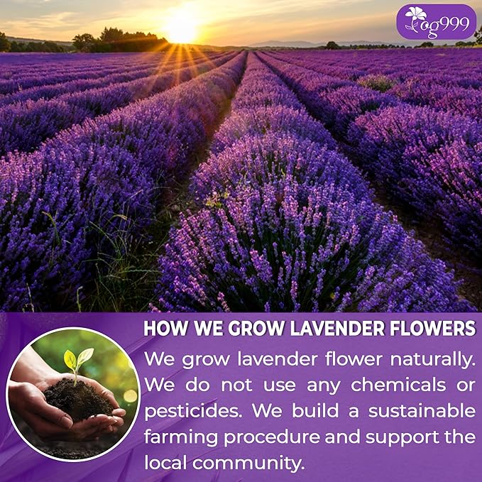 120 Lavender Flower Tea Bags, 100% Natural & Pure from Lavender Flowers. Loose Flower Lavender Herbal Tea. Lavender Flower Tea. No Sugar, No Caffeine, No Gluten, Vegan.