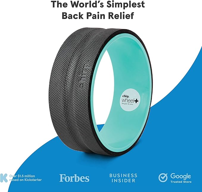 Chirp Wheel Foam Roller - Targeted Back & Neck Pain Relief, Muscle Massage, Trigger Point Therapy, High-Density Foam Tool for Physical Therapy, Stretching & Exercise, 500lbs Capacity, 12-Inch Mint