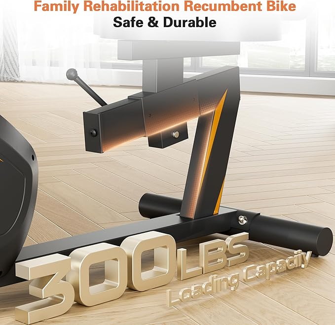 Recumbent Exercise Bike, Stationary Bikes for Home Magnetic Recumbent Bike with Adjust Seat for Adults Seniors, 300LB Capacity & 8-level Resistance, LCD Monitor and Heart Rate Handle