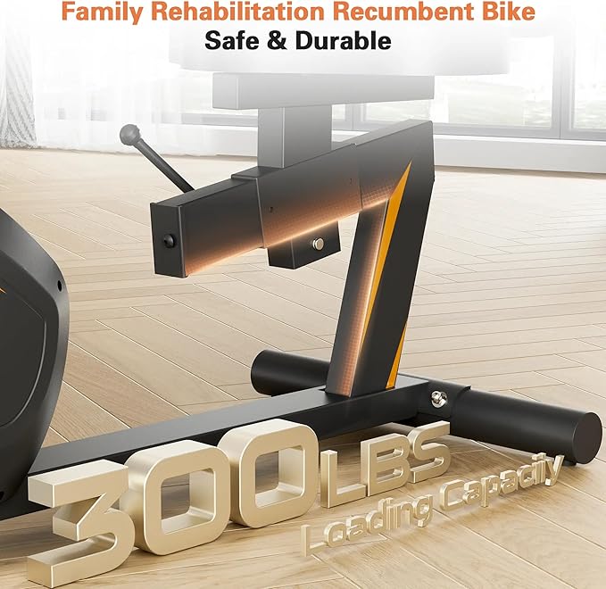 Recumbent Exercise Bike, Stationary Bikes for Home Magnetic Recumbent Bike with Adjust Seat for Adults Seniors, 300LB Capacity & 8-level Resistance, LCD Monitor and Heart Rate Handle