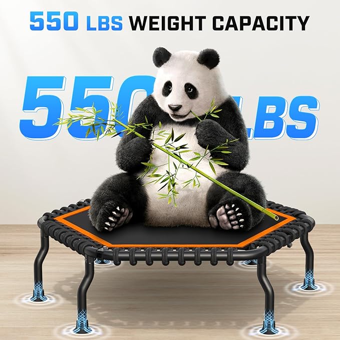 ANCHEER 50" Rebounder Trampoline for Adults With Bar, 550 LBS Mini Trampoline Quiet Exercise Bungee Jumping Cardio Trainer Workout