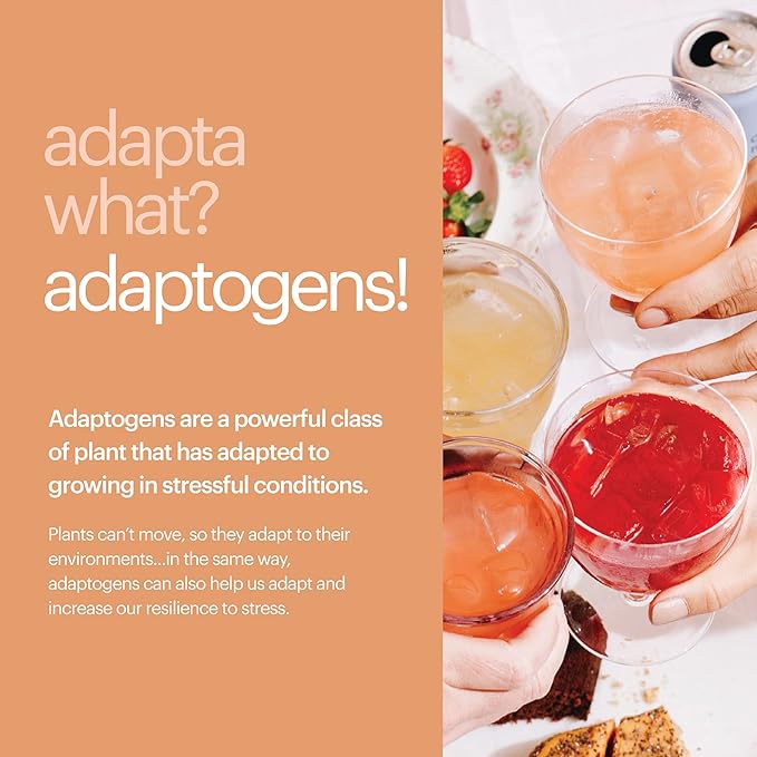 Heywell Sparkling Adaptogenic Water Calm and Restore, Blackberry Ginger Flavor 12 Fluid Ounce (Pack of 12) - Non Caffeinated, Organic, Non GMO, Vegan, Gluten Free, Dairy Free