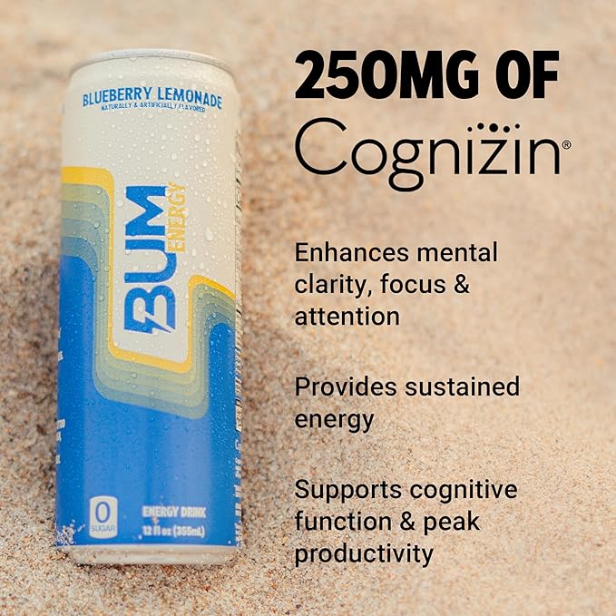 BUM Sugar-Free Energy Drink, Blueberry Lemonade - Lightly Carbonated & No Artificial Colors, Natural Caffeine & Citicoline for Energy & Focus, Brain Boost & Workout Sports Beverage - 12 oz, Pack of 12