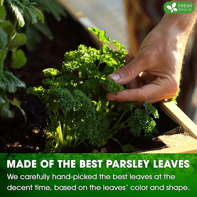 FreshDrinkUS, Premium 35 Parsley Leaf Tea Bags, 100% Natural & Pure from Parsley Leaves. Loose Leaf Parsley Herbal Tea. Made with Natural Material Tea Bags. No Sugar, No Caffeine, No Gluten, Vegan.
