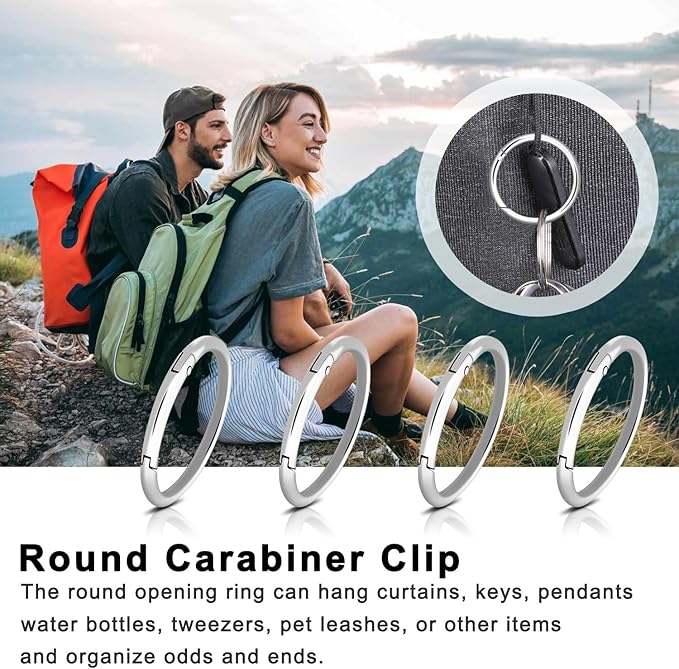 10Pack 2" Large Round Carabiner Clips, Metal Spring O Rings for Organizer Key Rings, Paracord Keychain Lanyard, Pet Chains, Purse Hardware, Key Snap Hooks DIY Accessory (Silver)